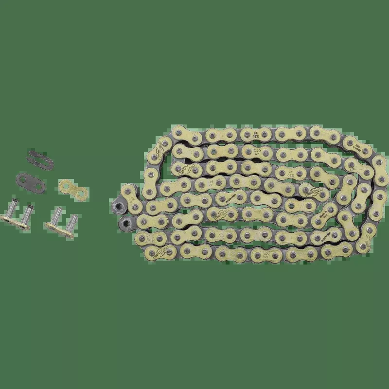 Regina 530 RT Chain 110 Links