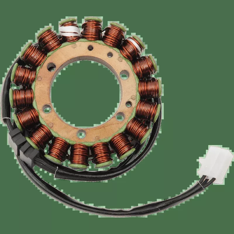 Rick's Motorsport Electric Stator