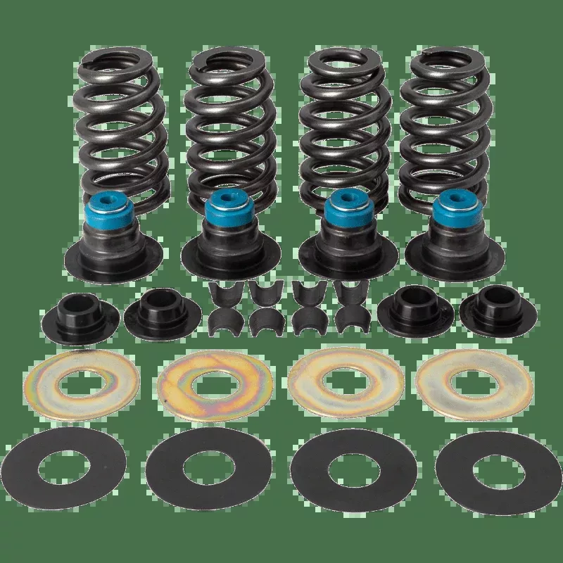 S&S Cycle Springs.585"05-17 TC