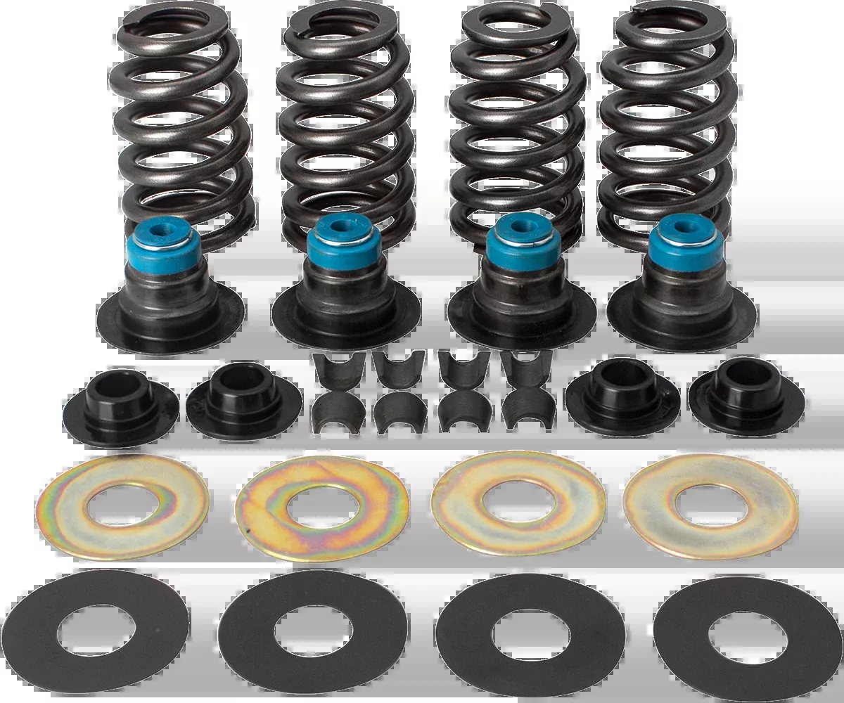 S&S CYCLE Valve Spring Kit - 0.585" - Twin Cam '05-'17 900-0594