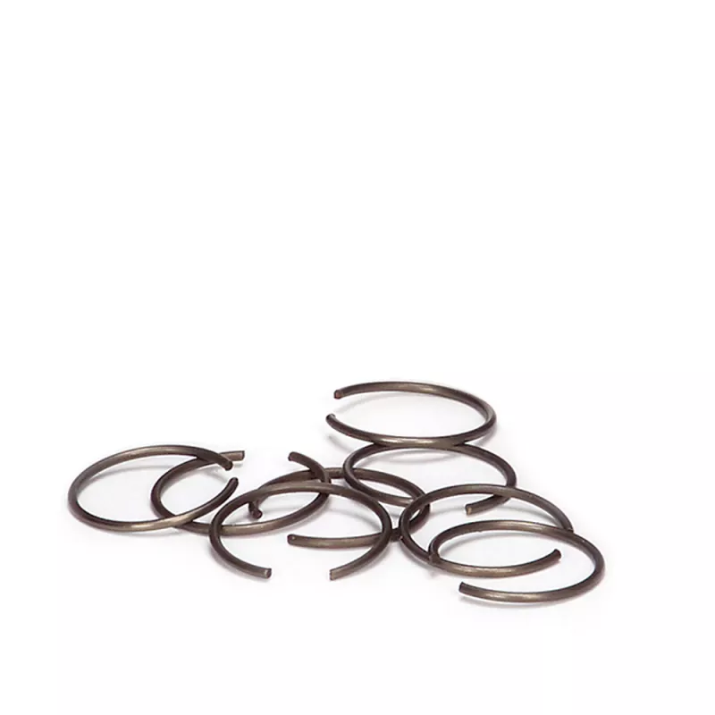 SPT Circlips