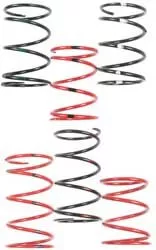 Team Steel Clutch Spring Black/Whit E 160-260 - 210185