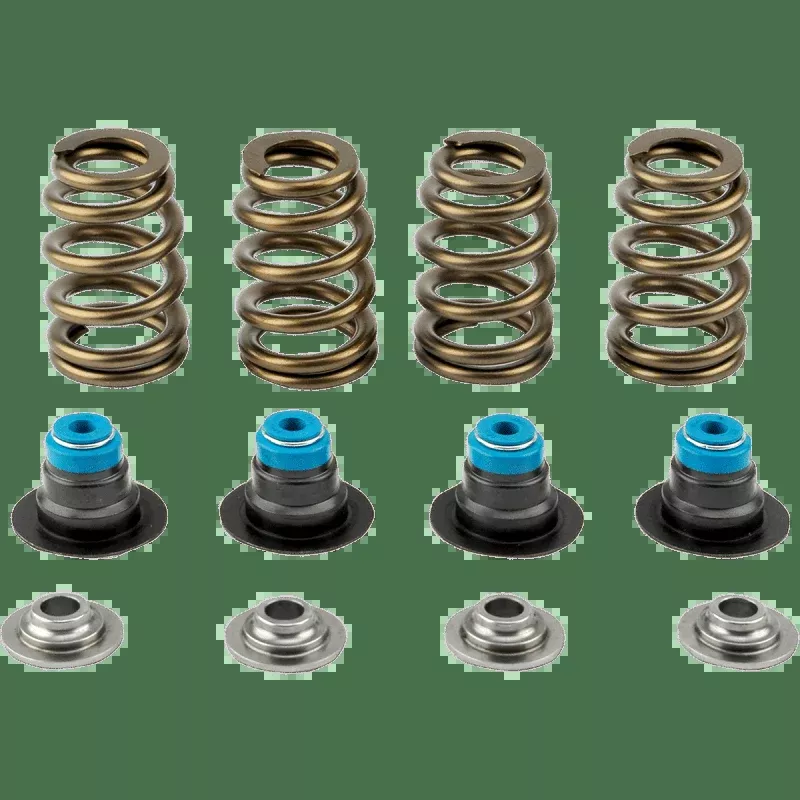 V-Thunder 05-17 TC Spring Kit .585 With Tool