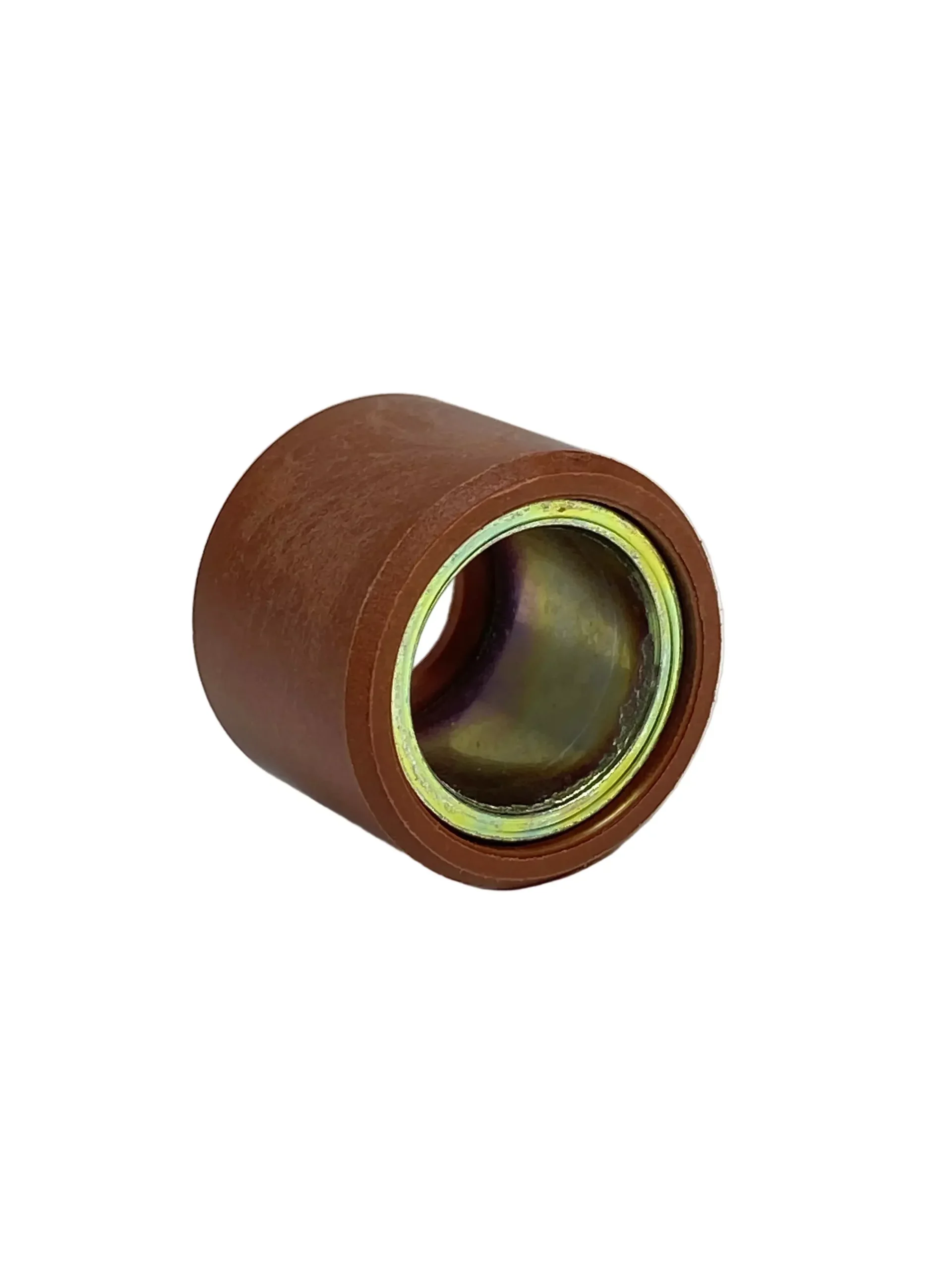 Vespa GTS/GTV/Super 300 OEM Roller (21×17 13.9g)