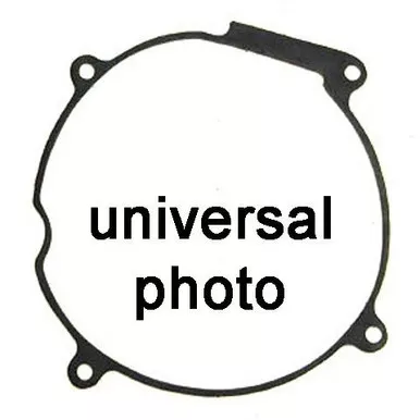 Winderosa Ignition Cover Gasket – 816177