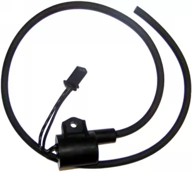 Wsm Ignition Coil Kaw 900/1100 – 004-192-26