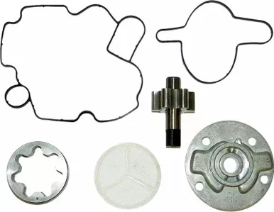 Wsm Oil Pump Rebuild Kit S-D S-D 4-Tec Secondary-Frt – 010-1210