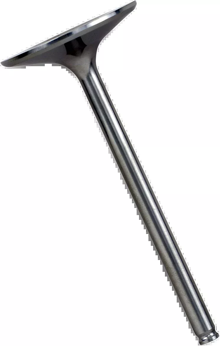Xceldyne Intake Valve-XIVM13001